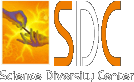 SDC